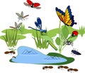 Cartoon pond with many species of insects living near the water